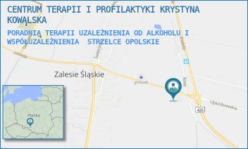 PORADNIA TERAPII UZALEŻNIENIA OD ALKOHOLU I WSPÓŁUZALEŻNIENIA - CENTRUM TERAPII I PROFILAKTYKI KRYSTYNA KOWALSKA - UL. STRAŻACKA 10,  STRZELCE OPOLSKIE