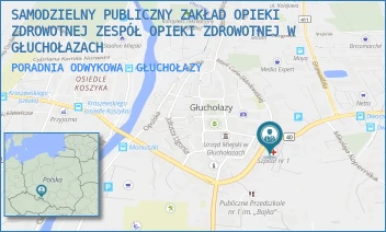 PORADNIA ODWYKOWA - SAMODZIELNY PUBLICZNY ZAKŁAD OPIEKI ZDROWOTNEJ ZESPÓŁ OPIEKI ZDROWOTNEJ W GŁUCHOŁAZACH - UL. CURIE-SKŁODOWSKIEJ 16,  GŁUCHOŁAZY