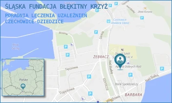 PORADNIA LECZENIA UZALEŻNIEŃ - ŚLĄSKA FUNDACJA BŁĘKITNY KRZYŻ - UL. NAD BIAŁKĄ 1B,  CZECHOWICE-DZIEDZICE