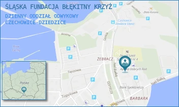 DZIENNY ODDZIAŁ ODWYKOWY - ŚLĄSKA FUNDACJA BŁĘKITNY KRZYŻ - UL. NAD BIAŁKĄ 1B,  CZECHOWICE-DZIEDZICE