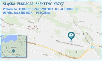 PORADNIA TERAPII UZALEŻNIENIA OD ALKOHOLU I WSPÓŁUZALEŻNIENIA - ŚLĄSKA FUNDACJA BŁĘKITNY KRZYŻ - UL. IGNACEGO PADEREWSKIEGO 3,  PSZCZYNA