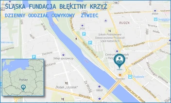 DZIENNY ODDZIAŁ ODWYKOWY - ŚLĄSKA FUNDACJA BŁĘKITNY KRZYŻ - UL. ALEJA LEGIONÓW 1,  ŻYWIEC