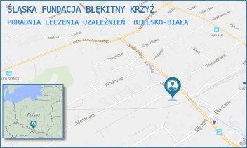 PORADNIA LECZENIA UZALEŻNIEŃ - ŚLĄSKA FUNDACJA BŁĘKITNY KRZYŻ - UL. MOSTOWA 1,  BIELSKO-BIAŁA