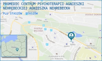 PLU STASZÓW - PROMEDIC CENTRUM PSYCHOTERAPII AGNIESZKI NEHREBECKIEJ AGNIESZKA NEHREBECKA - MICKIEWICZA 24,  STASZÓW