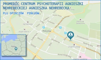 PLU DPIŃCZÓW - PROMEDIC CENTRUM PSYCHOTERAPII AGNIESZKI NEHREBECKIEJ AGNIESZKA NEHREBECKA - BEDNARSKA 3,  PIŃCZÓW